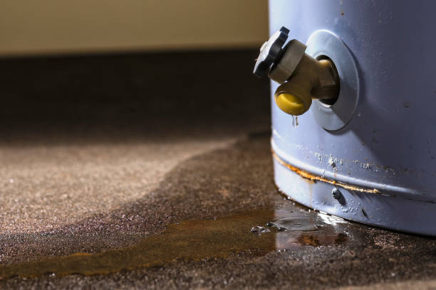 Best Residential water damage restoration  in Pilot Rock, OR