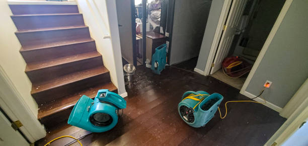 Best Carpet water damage restoration  in Pilot Rock, OR